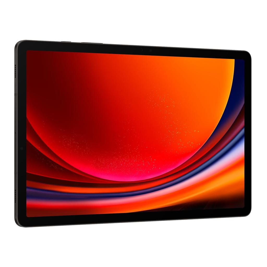 Galaxy Tab S9 256GB - Grey - Wi-Fi