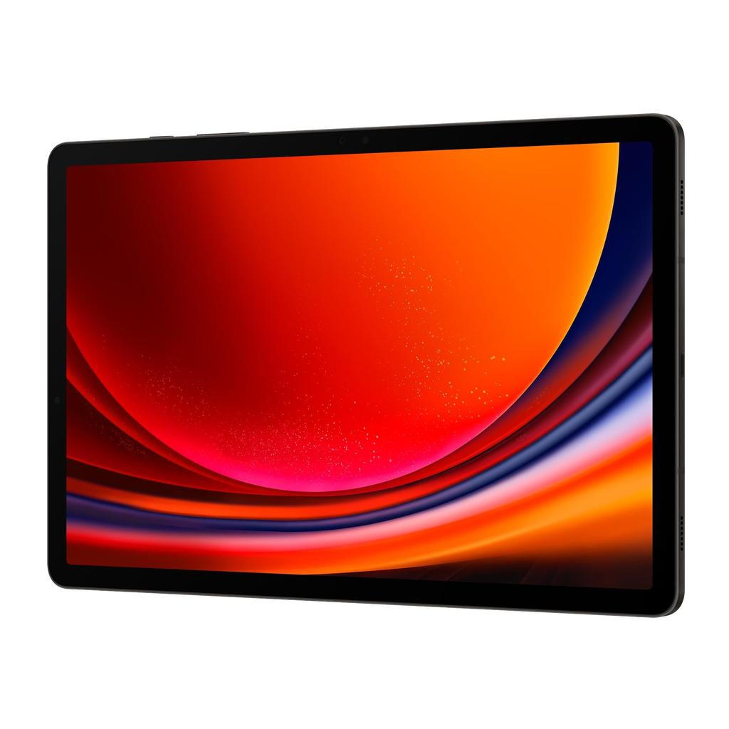 Galaxy Tab S9 256GB - Grey - Wi-Fi