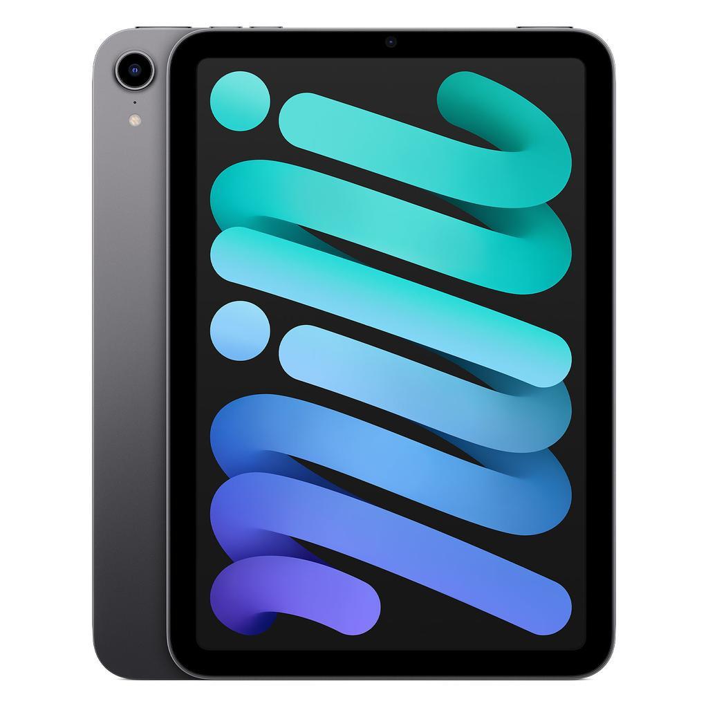 iPad mini 8.3" (2021) 6th gen 64 GB - Wi-Fi - Space Gray