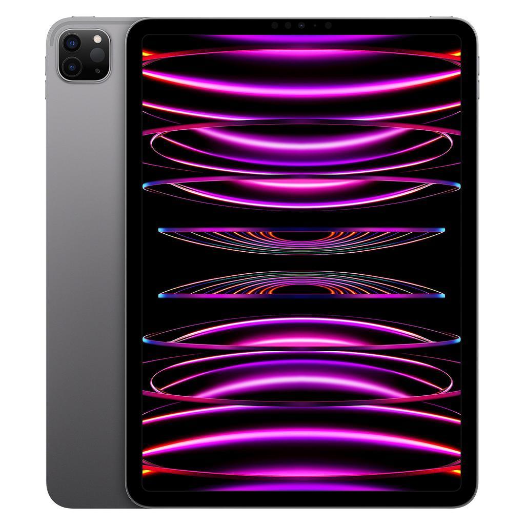 iPad Pro 11" (2022) 4th gen 256 GB - Wi-Fi - Space Gray