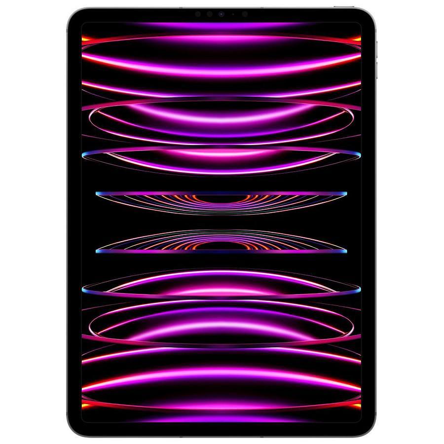 iPad Pro 11" (2022) 4th gen 256 GB - Wi-Fi - Space Gray