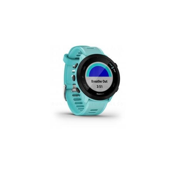 Smart Watch Garmin HR GPS Forerunner 55 - Blue/Black