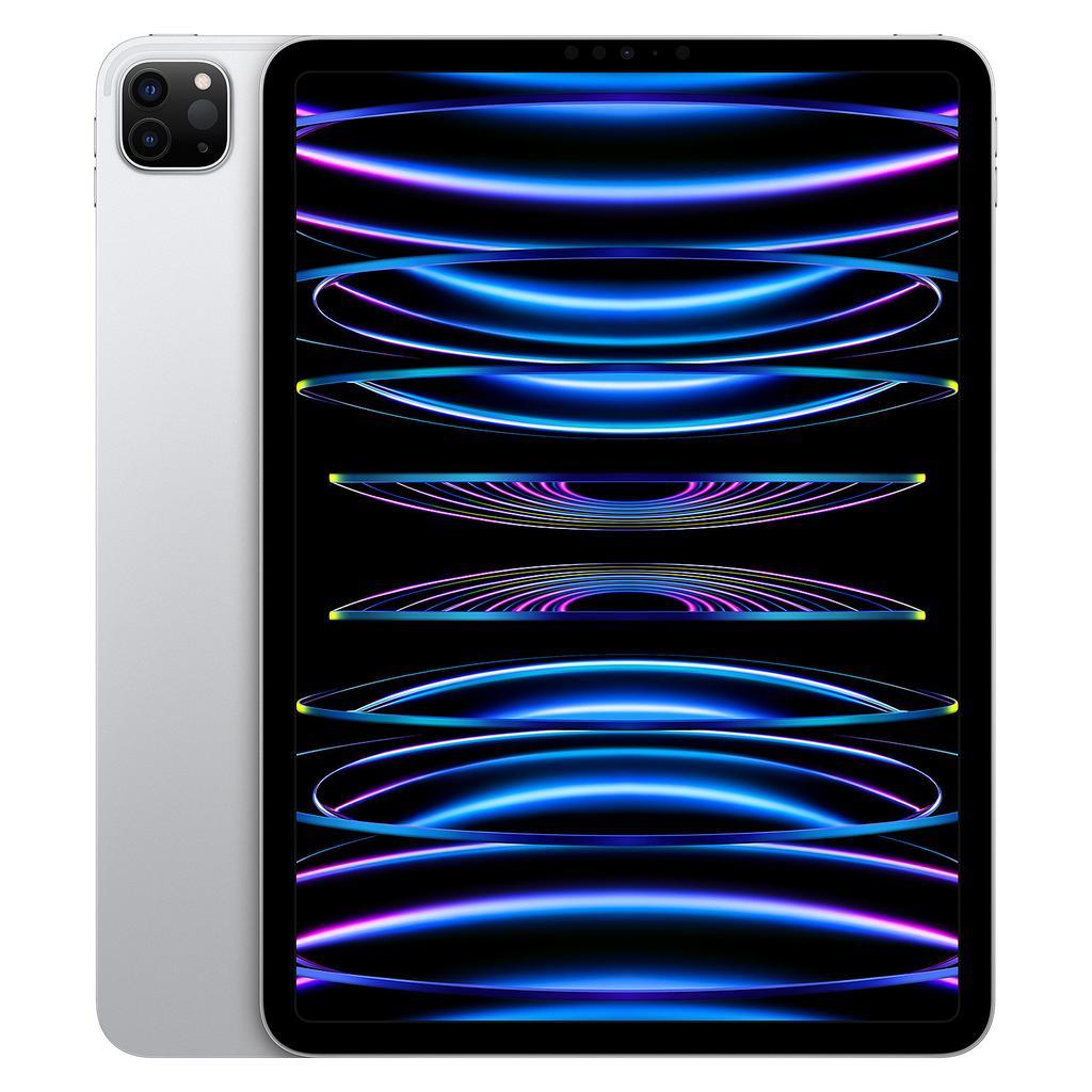 iPad Pro 11" (2022) 4th gen 1000 GB - Wi-Fi - Silver
