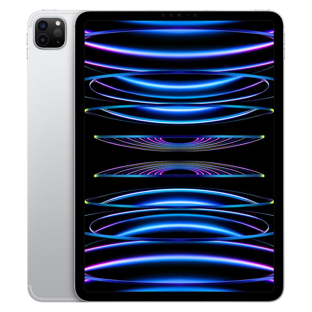 iPad Pro 11" (2022) 4th gen 1000 GB - Wi-Fi + 5G - Silver